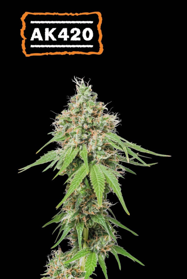 AK420