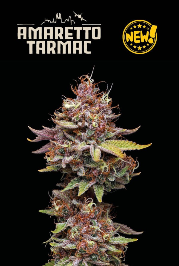 Amaretto Tarmac