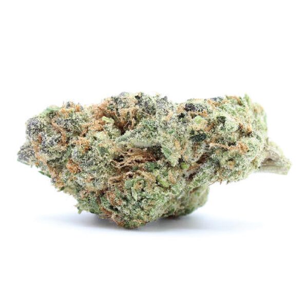 Animal Cookies - Imagem 2