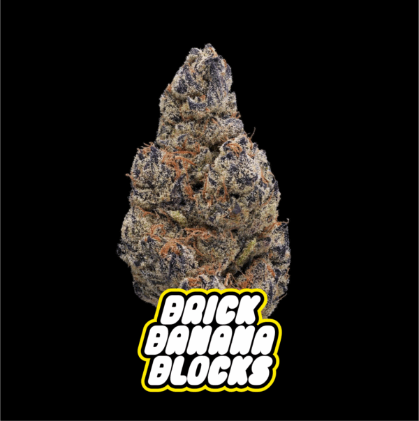 Brick Banana Blocks Auto - Imagem 3