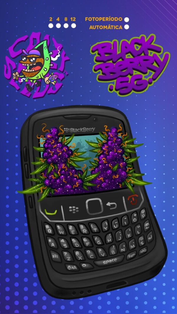 Blackberry 5G