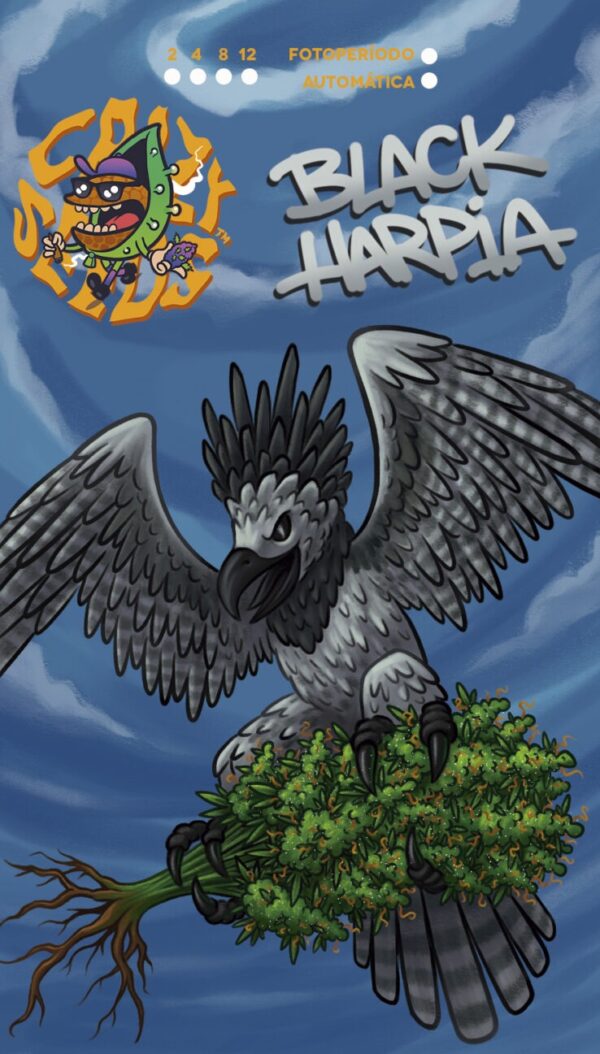 Black Harpia