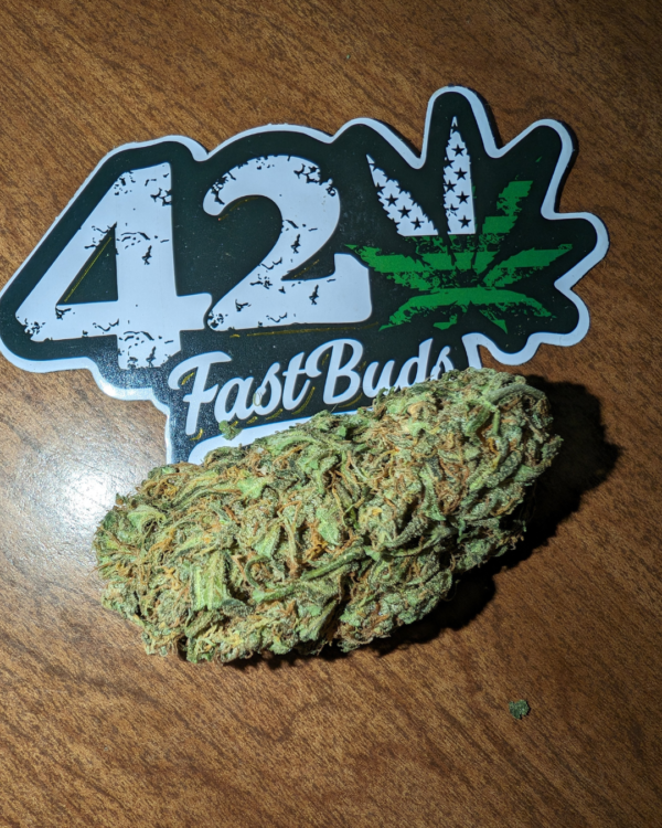 BubbleGum Auto - Image 3