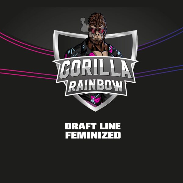 Gorilla Kingdom Rainbow