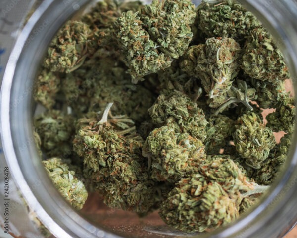 Mango Kush - Imagem 2