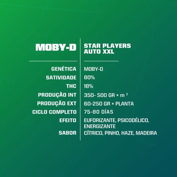 Moby-D XXL Auto - Image 2