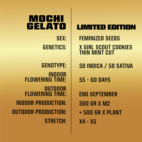 Mochi Gelato - Image 2