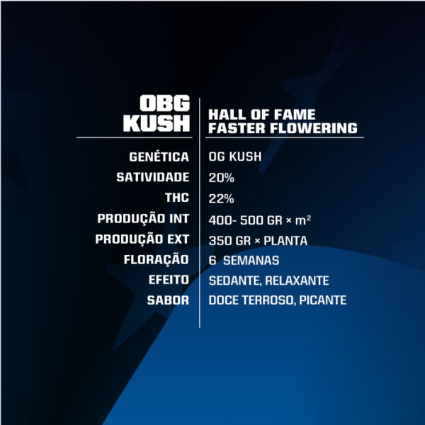 OBG Kush Faster Flowering Feminized - Imagem 2