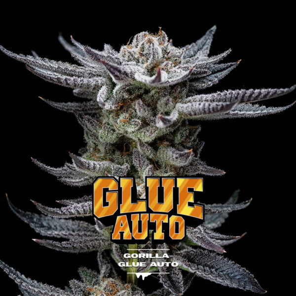 GORILLA GLUE AUTO