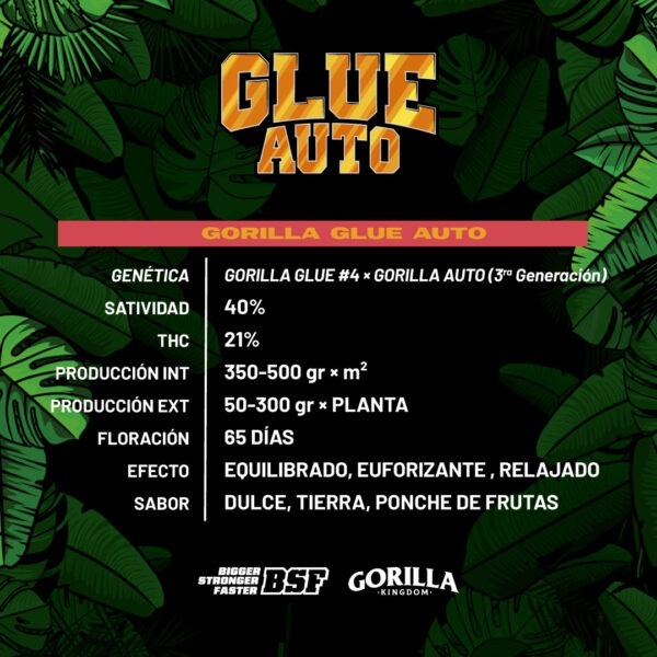GORILLA GLUE AUTO - Imagem 3