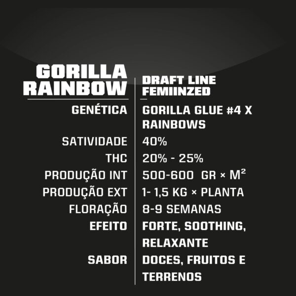 Gorilla Kingdom Rainbow - Imagem 3