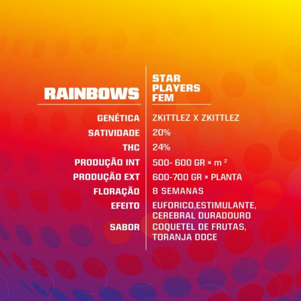 Rainbows - Image 3