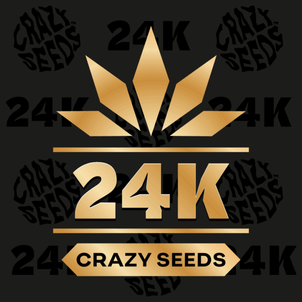 24K
