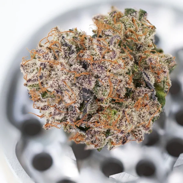 Auto Mimosa Punch - Image 3