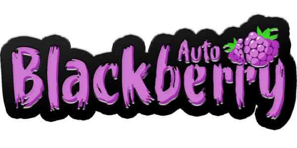 Blackberry Auto