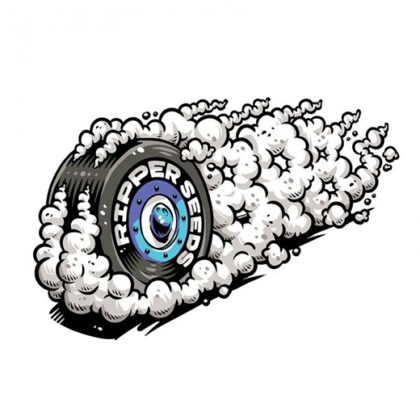 Break Pad Breath - Imagem 2