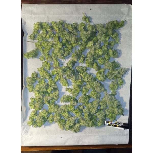 Crystal White Kush - Image 3