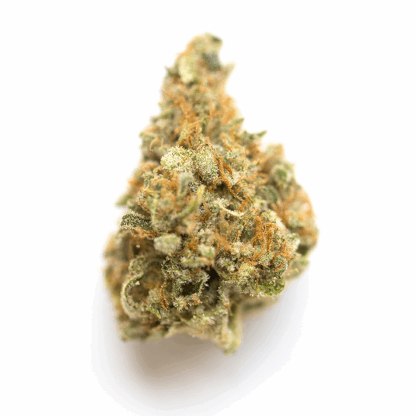 Grape Pie - Imagem 2