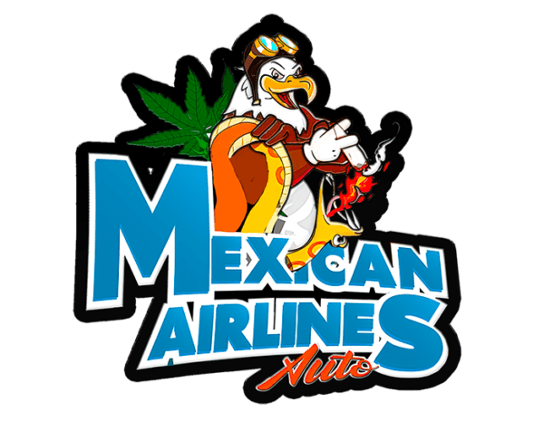 Mexican Airlines Auto