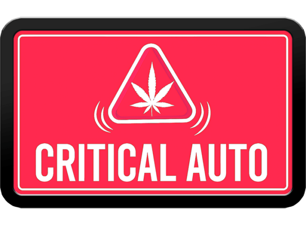 Critical Auto