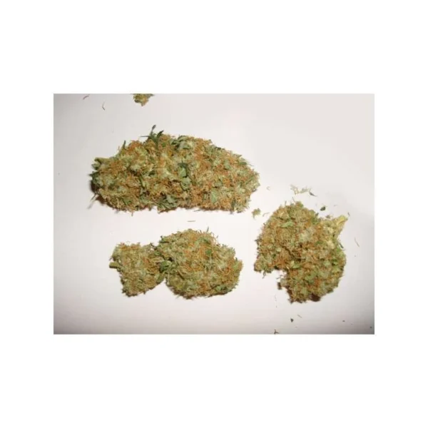 Skunk #11 - Image 3