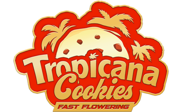 Tropicana Cookies Faster Flowering