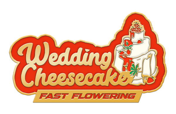 Wedding Cheesecake Faster Flowering